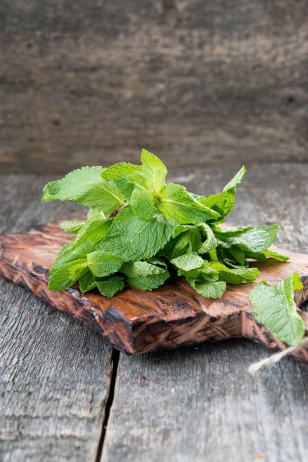 薄荷用什么土种比较好