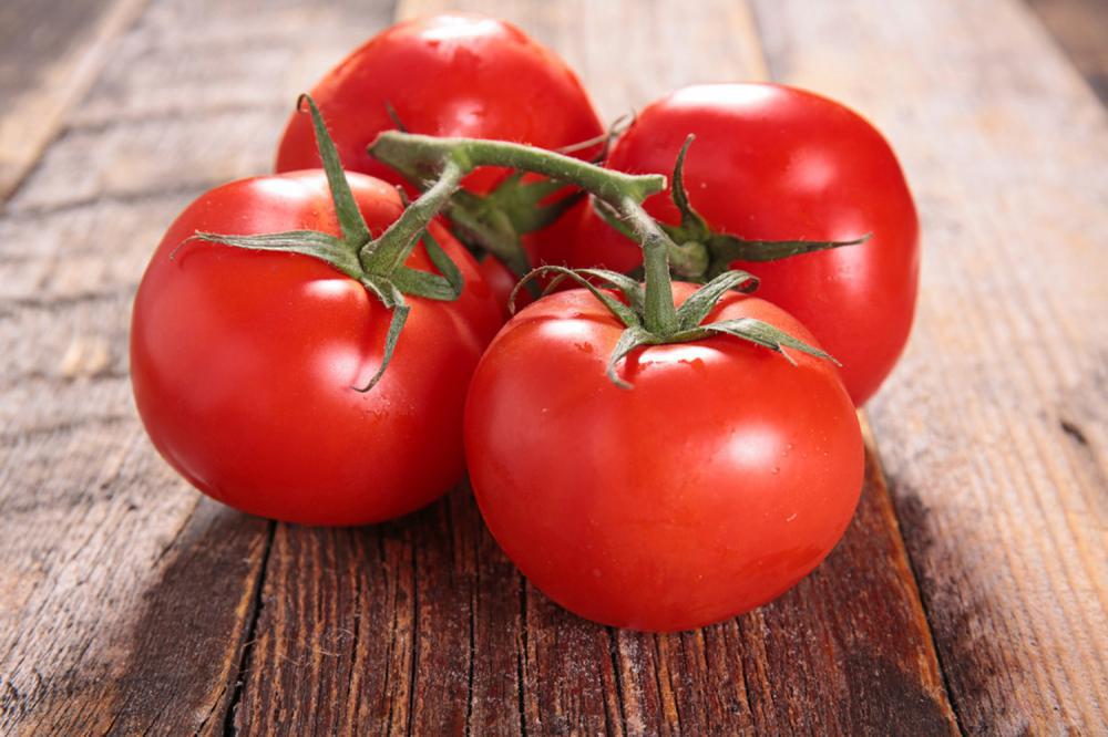 如何在阳台种植西红柿