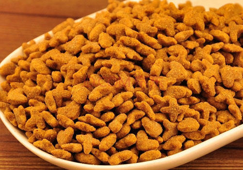 猫粮更换时要注意什么？