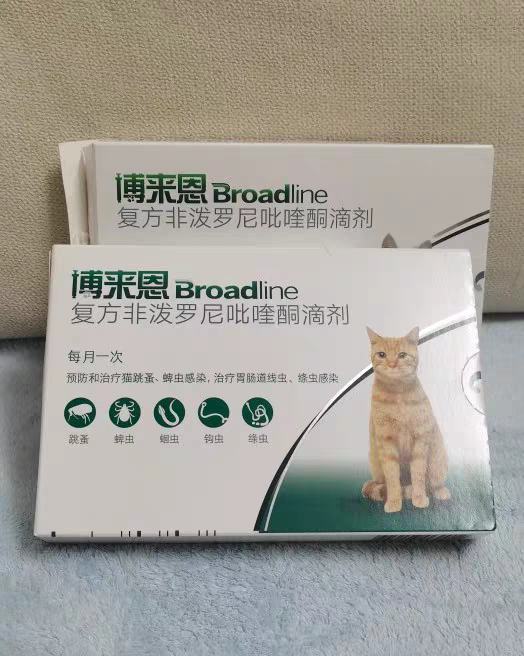 猫怎么驱虫效果好？5年养猫经验精心总结！