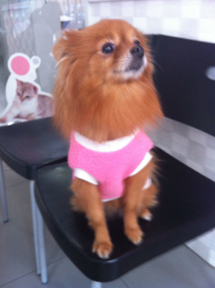 冬季，你的宝贝要怎么过？