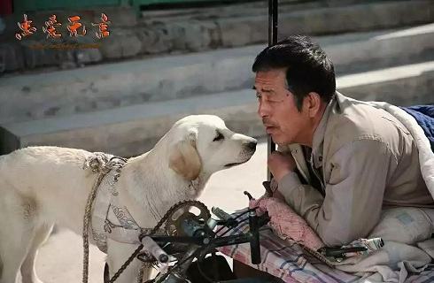 狗狗到底有多忠诚？