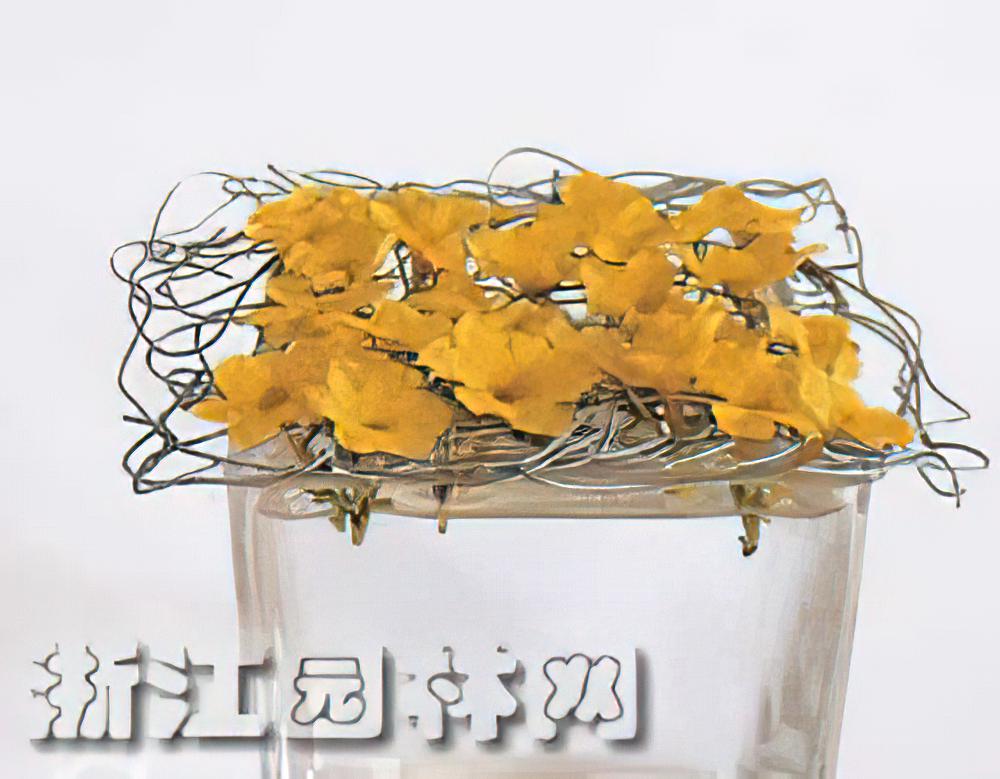 迎得春来艳——迎春花花艺创作