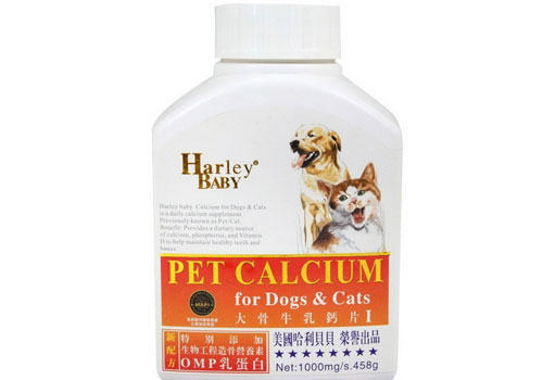 狗狗钙片使用要适量