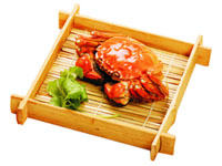 猫咪为什么不爱吃甜食 猫咪为什么不爱吃甜食