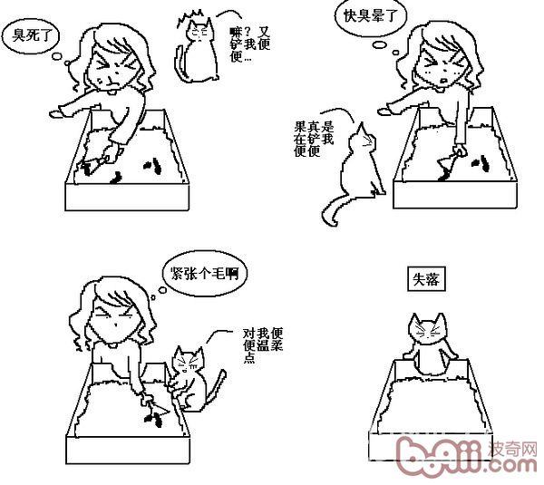 猫咪行为图解:养过猫的都懂