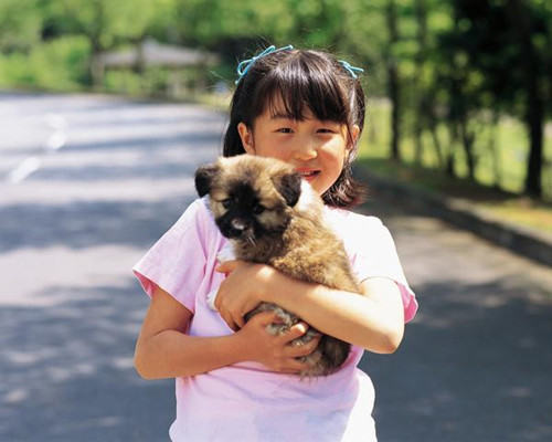 狗狗不是玩具，日常抱狗狗的注意事项