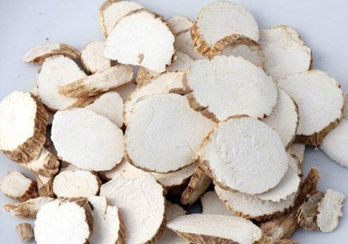 中医治猫病之解表药 中医治猫病之解表药