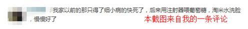 关于细小病毒的偏方和想法