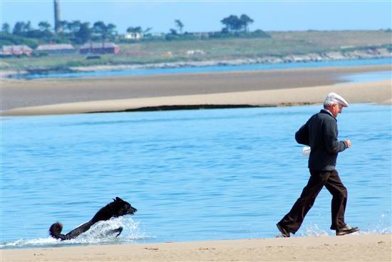 给宠物拍照小窍门