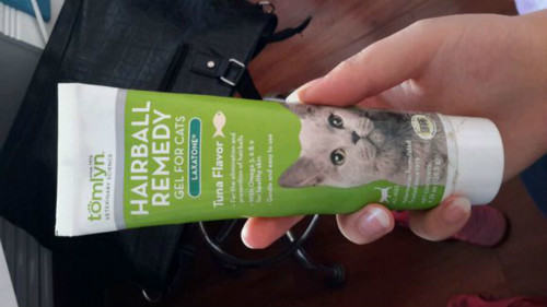 猫咪使用化毛膏需要注意什么