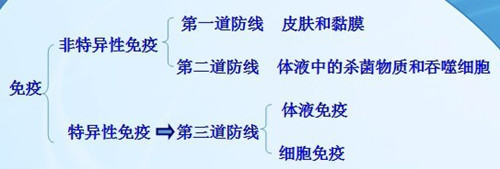 免疫—为犬猫健康保驾护航 免疫—为犬猫健康保驾护航