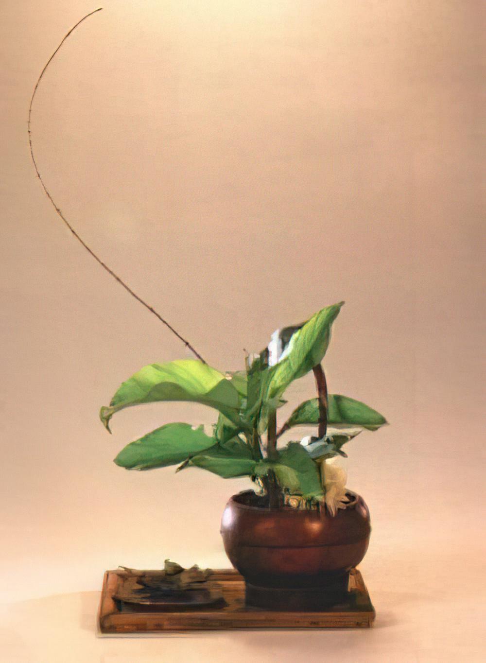春風飛舞