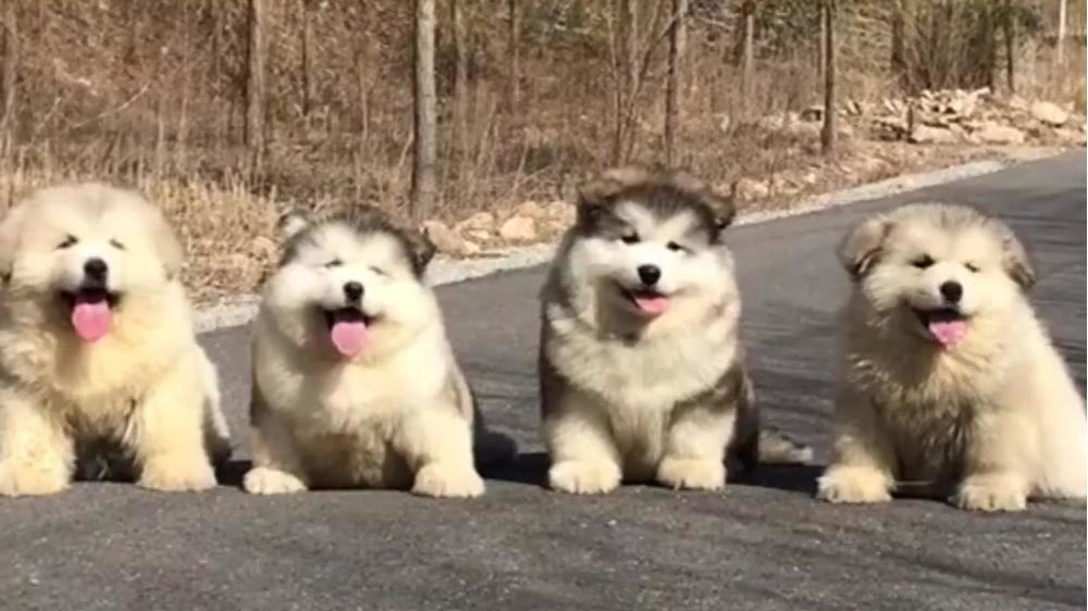 你还在为