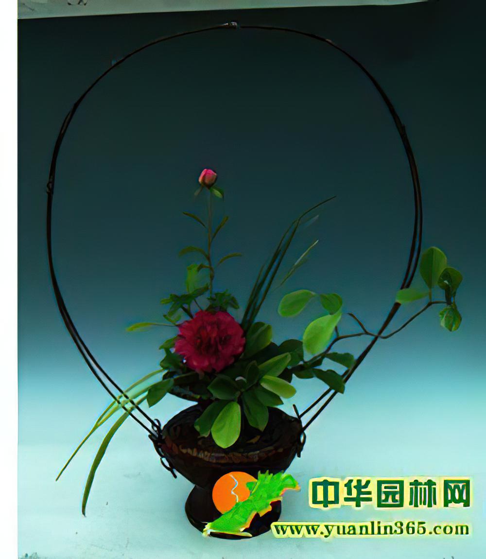 竹子在插花中的实际应用