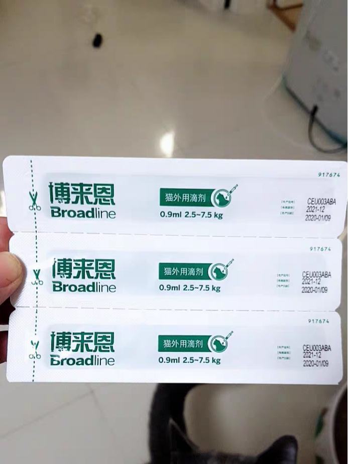 猫怎么驱虫效果好?都要驱哪些虫? 猫怎么驱虫效果好?都要驱哪些虫?