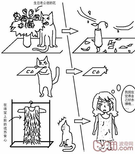 猫咪行为图解:养过猫的都懂