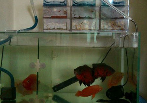 滴流过滤的使用方法