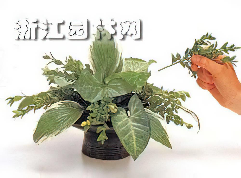 制作喜庆盆式插花