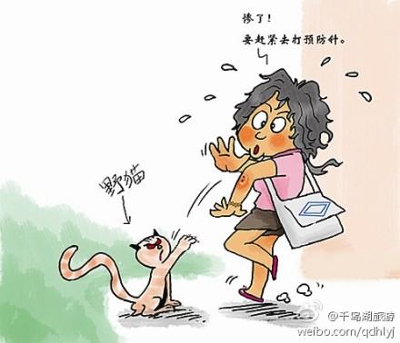 被猫狗咬伤怎么办被狗、猫咬伤、抓伤，怎么办？