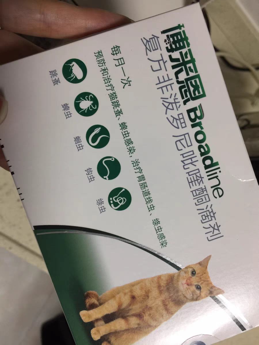 猫驱虫药什么牌子好？自用经验分享 ！