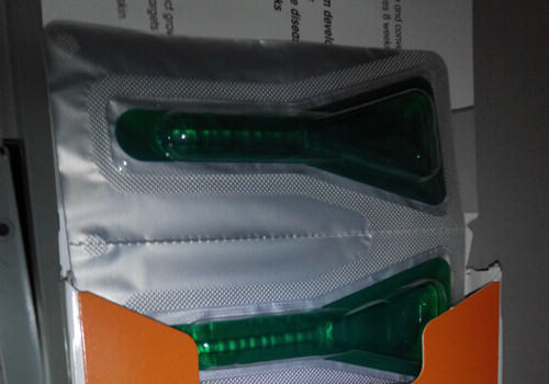 夏季寄生虫之——跳蚤 夏季寄生虫之——跳蚤