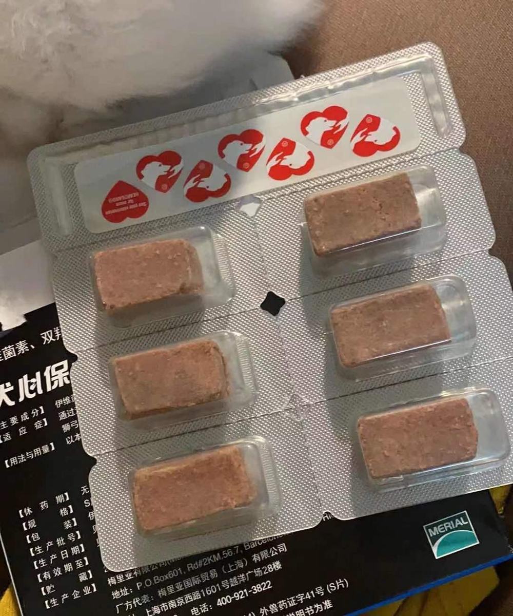 幼犬体内驱虫选什么？铲屎官必看！