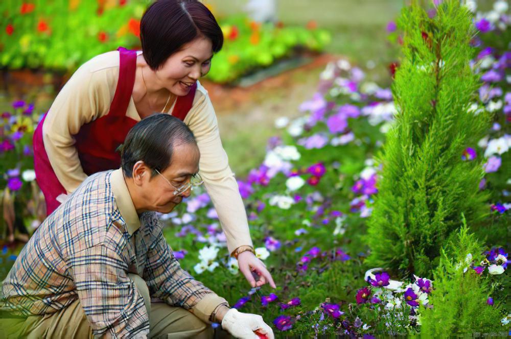 老年人养花谨慎防治中花毒
