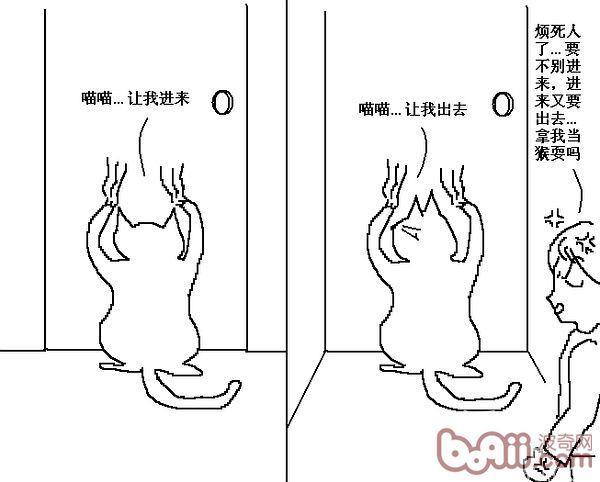 猫咪行为图解:养过猫的都懂