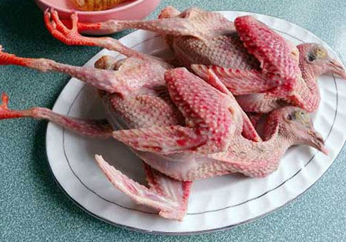 【美食攻略】自制猫咪的鸽子牛肉南瓜饭 【美食攻略】自制猫咪的鸽子牛肉南瓜饭