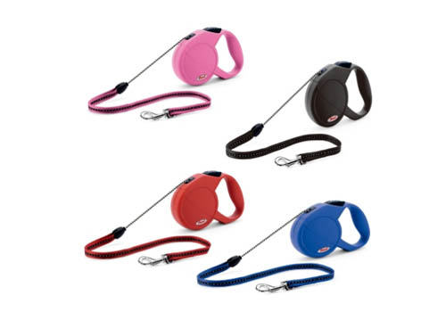 为什么狗狗走丢的事情常常发生 为什么狗狗走丢的事情常常发生