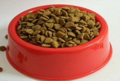 如何选择狗粮?狗粮挑选方法 如何选择狗粮?狗粮挑选方法