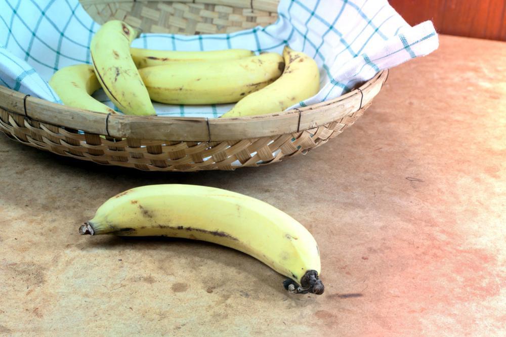 香蕉的养殖方法