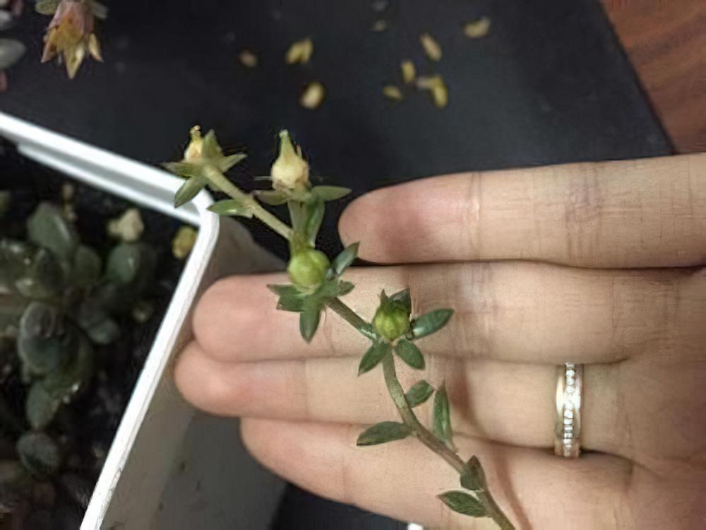 子子孙孙无穷尽也！一棵老红用两年时间创造的励志发家史