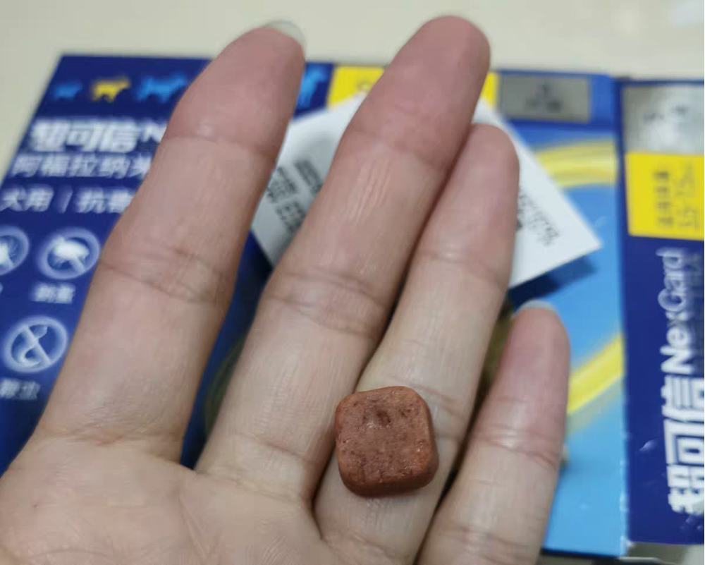 狗狗驱虫要领，你可能还不知道