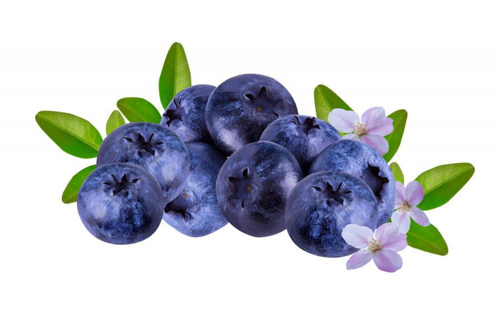 蓝莓怎么保存