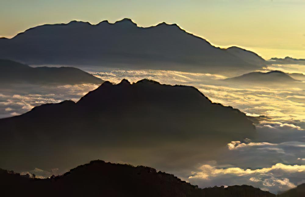 台湾阿里山