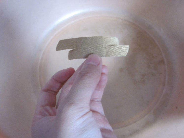 花龟前肢关节皮肤糜烂病例 花龟前肢关节皮肤糜烂病例