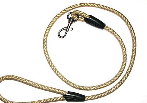 狗绳是不是越长越好 狗绳是不是越长越好