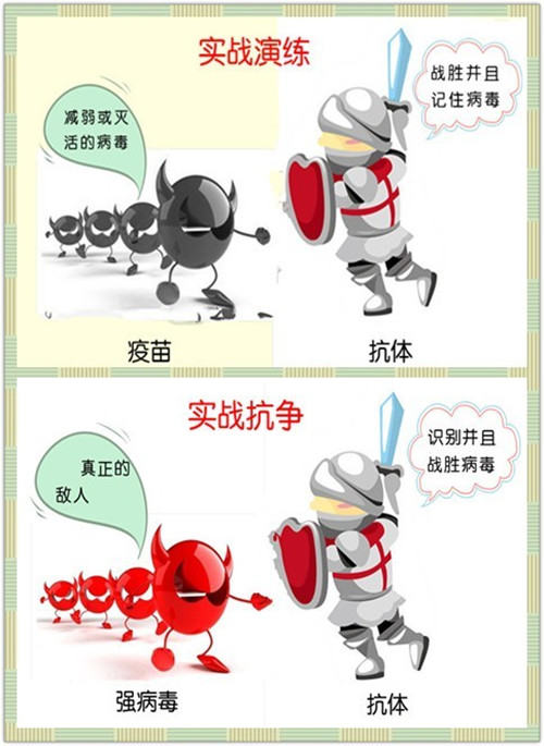 免疫—为犬猫健康保驾护航 免疫—为犬猫健康保驾护航