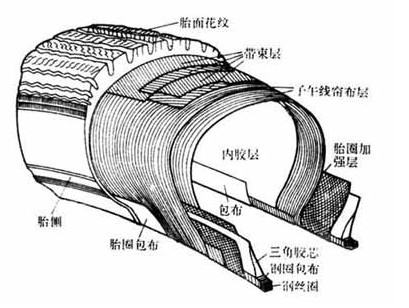 狗狗尿液会导致爆胎是真的吗