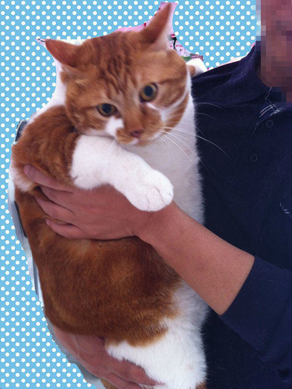 冬季，你的宝贝要怎么过？