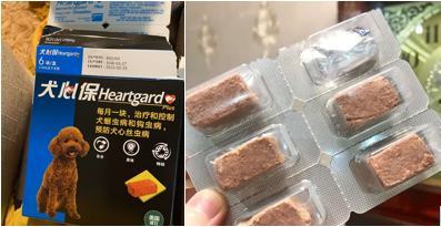 小狗拉肚子吃什么药？这些养狗必备你都掌握了吗？