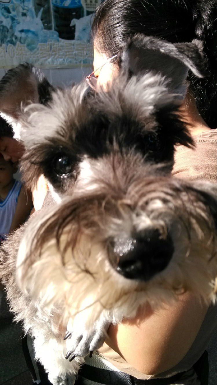 关于犬猫球虫病的详细介绍