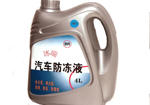 秋冬季节，谨防猫咪防冻液中毒