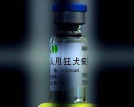 狂犬疫苗副作用有哪些？有必要注射狂犬疫苗吗？