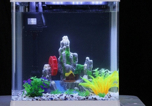 金鱼鱼缸换水的简便方法