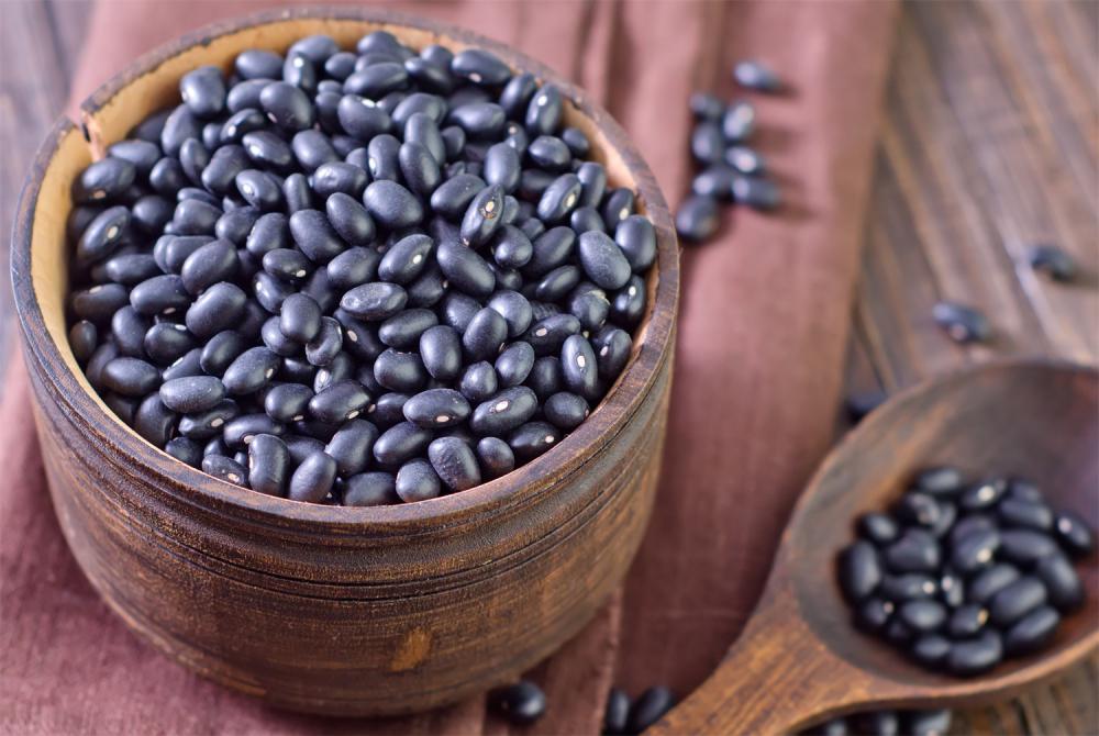 黑豆的养殖方法和注意事项