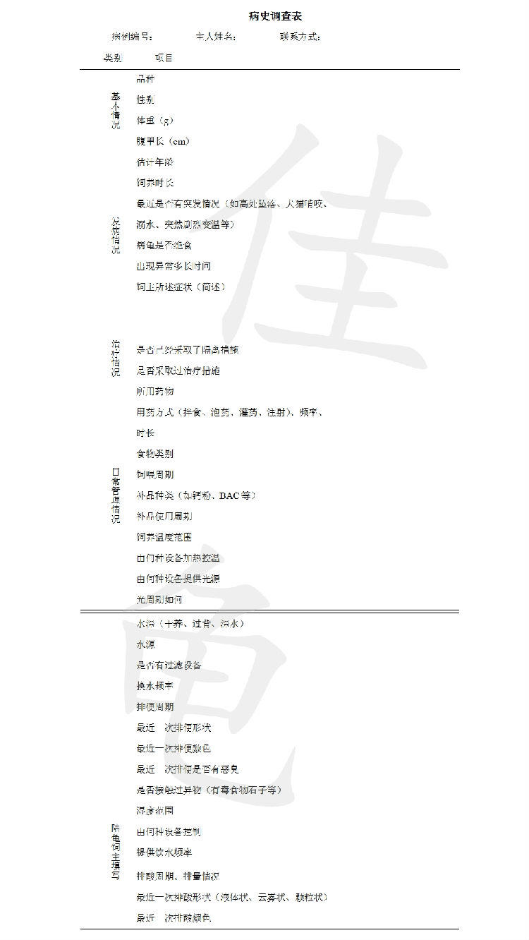 宠物龟疾病临床检查程序