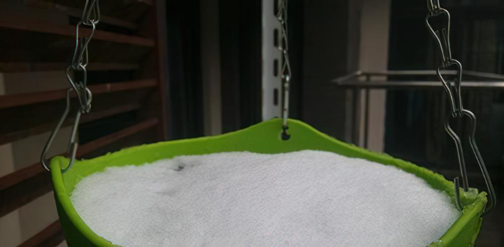 南京花友再一次证明：多肉植物越冬远你想象得要坚强